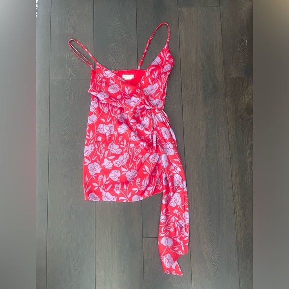 Revolve Lovers and Friends Kamala Mini Dress - Picture 3 of 4